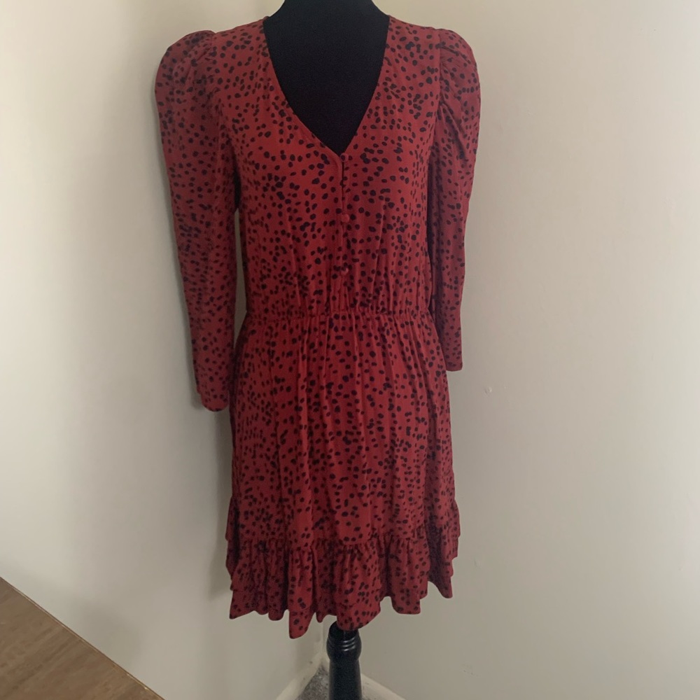 Zara dress